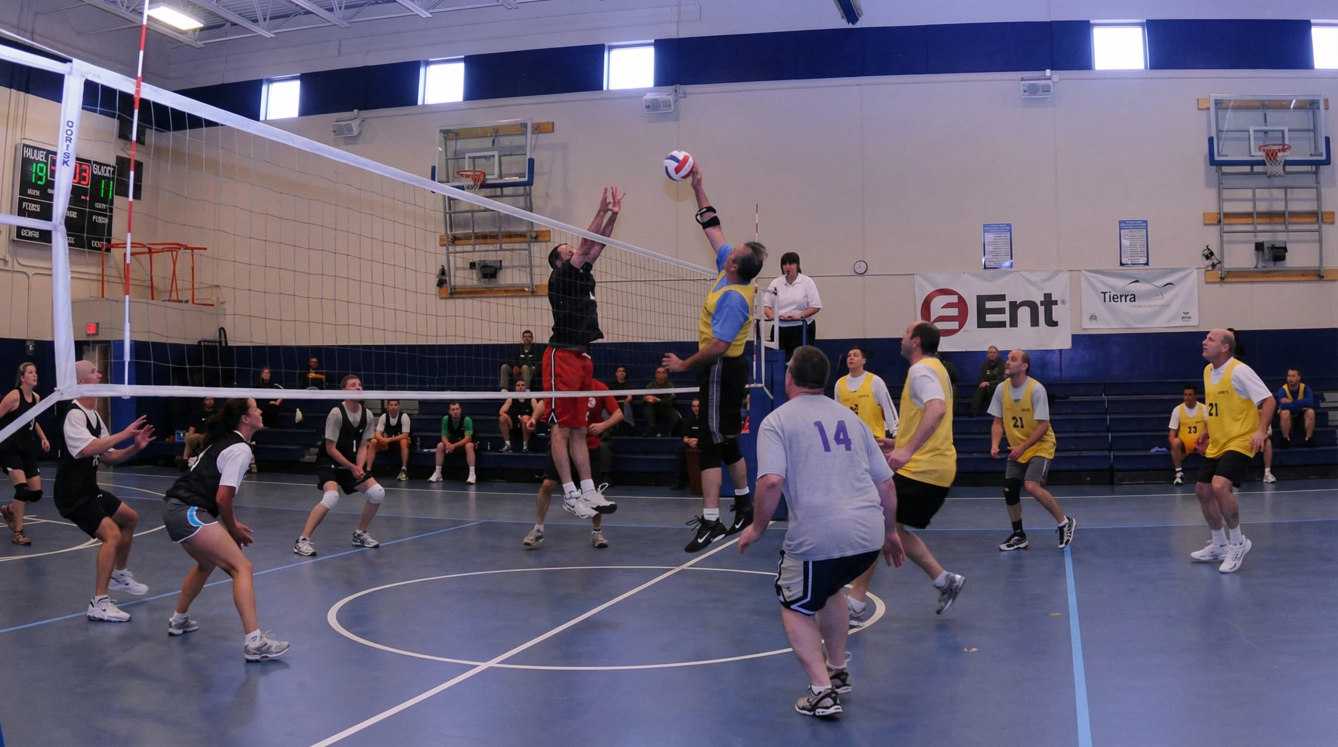 Adult Volleyball League in Montréal — VISION Elite Academy