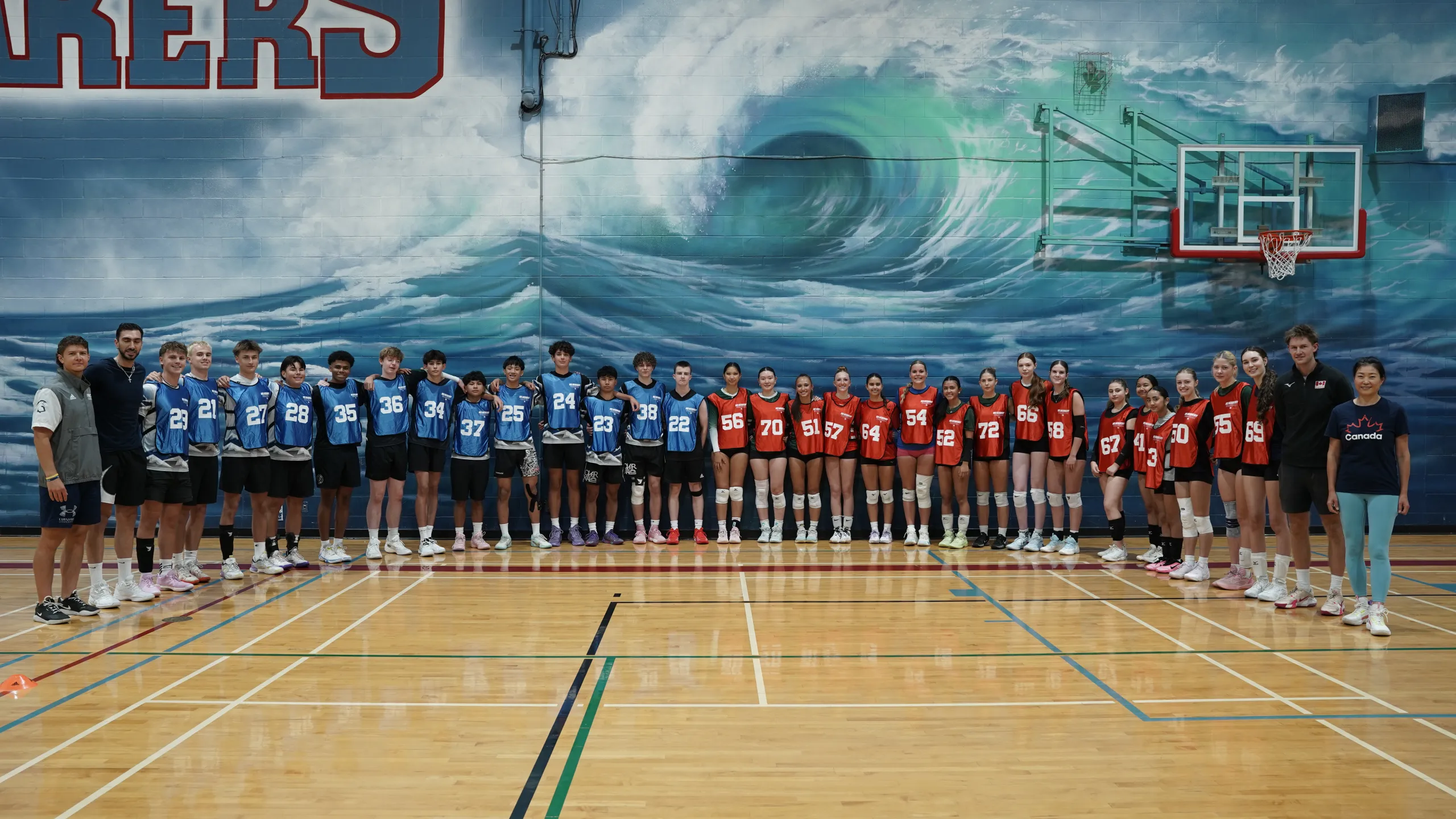 Volleyball Showcase in Montréal — VISION Elite Academy